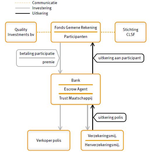 Organogram Life Settlements